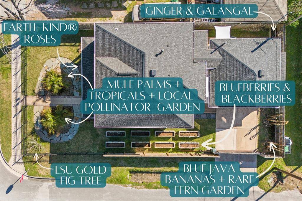 Welcome to your personal urban oasis. Thoughtfully designed edible and ornamental gardens, with blueberries, bananas, figs, and a pollinator-friendly landscape.