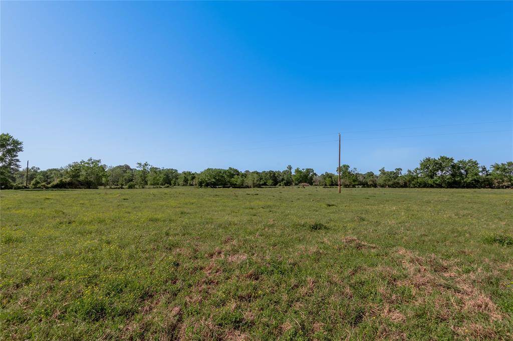 View from the Northeast with cattle.