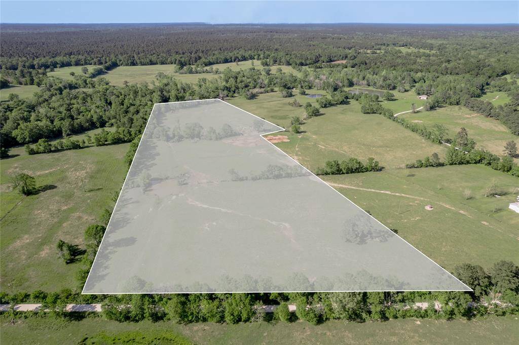 Portion of pasture and trees