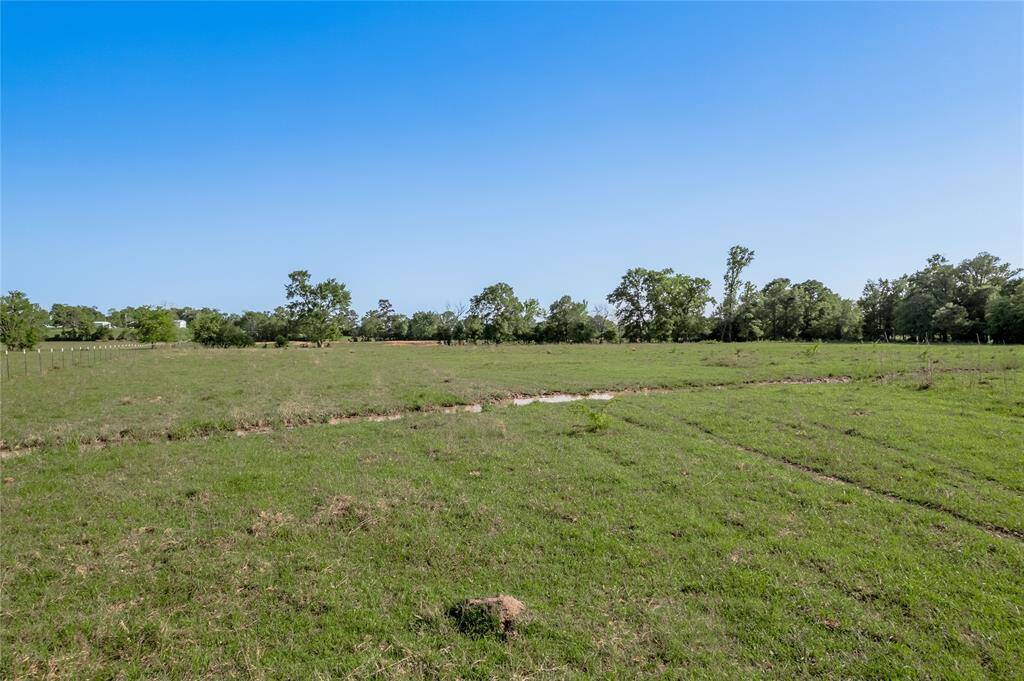 Creek and potential pond site
