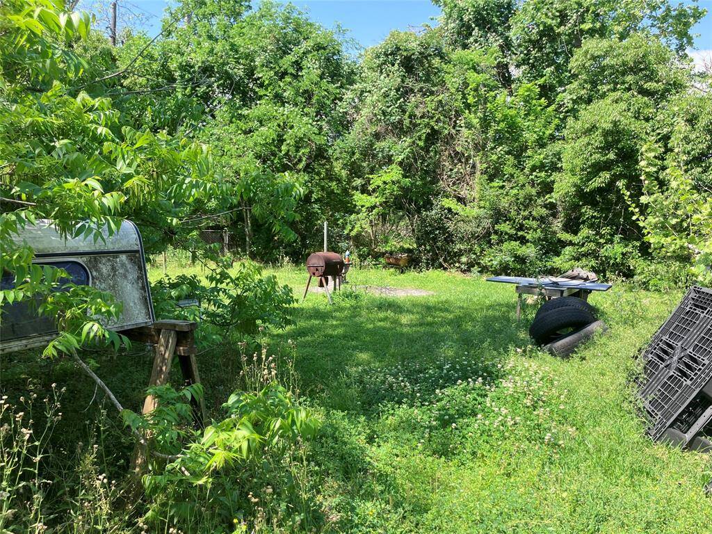 back yard