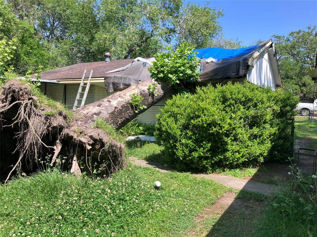 Tree on house