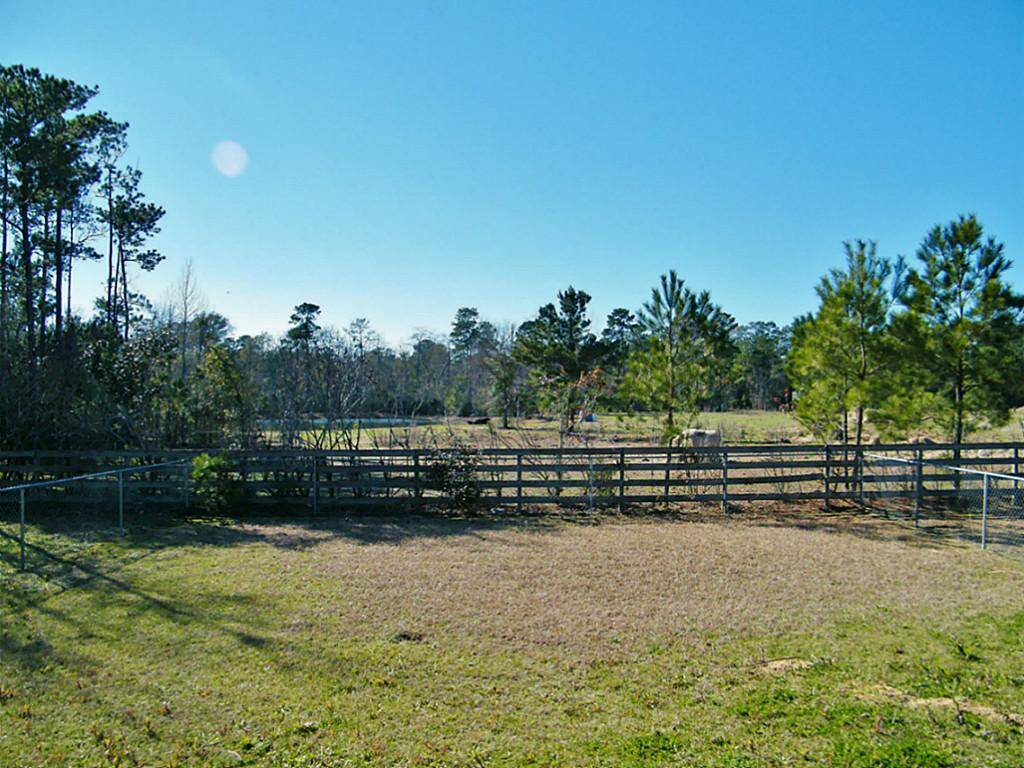 View from your back patio with fully fenced back yard.