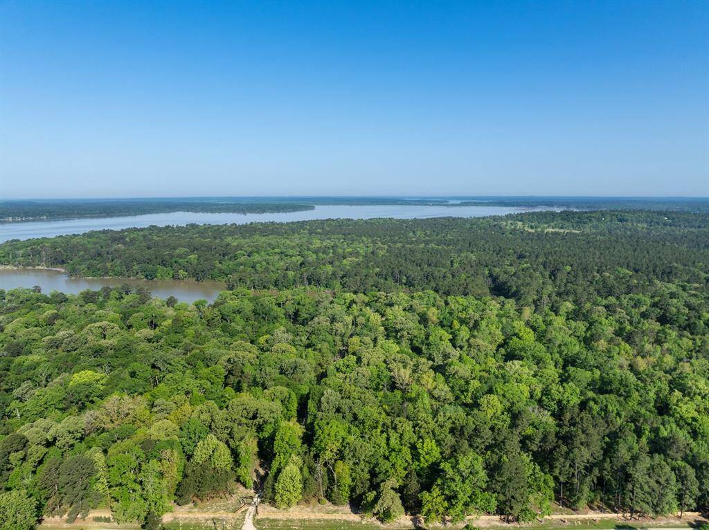 Beautifully wooded property