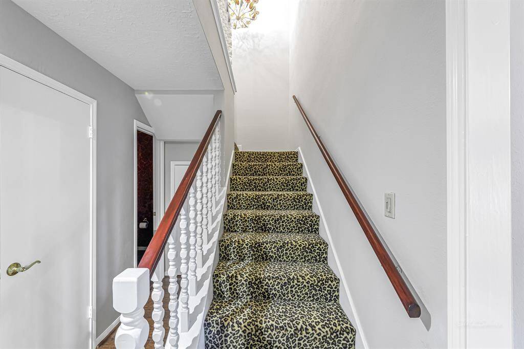 Stylish designer stairwell carpet