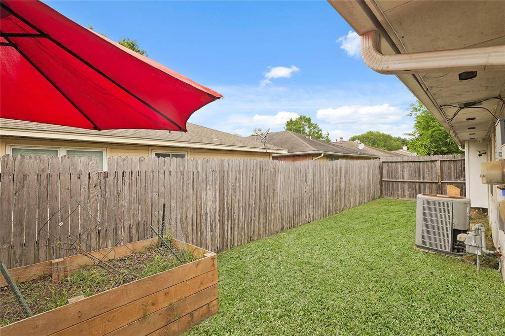 Grassy Back Yard