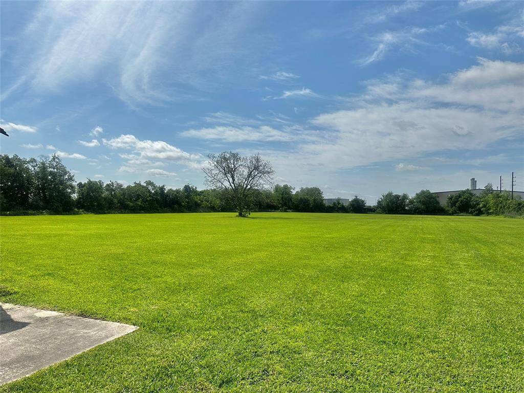View of back acreage
