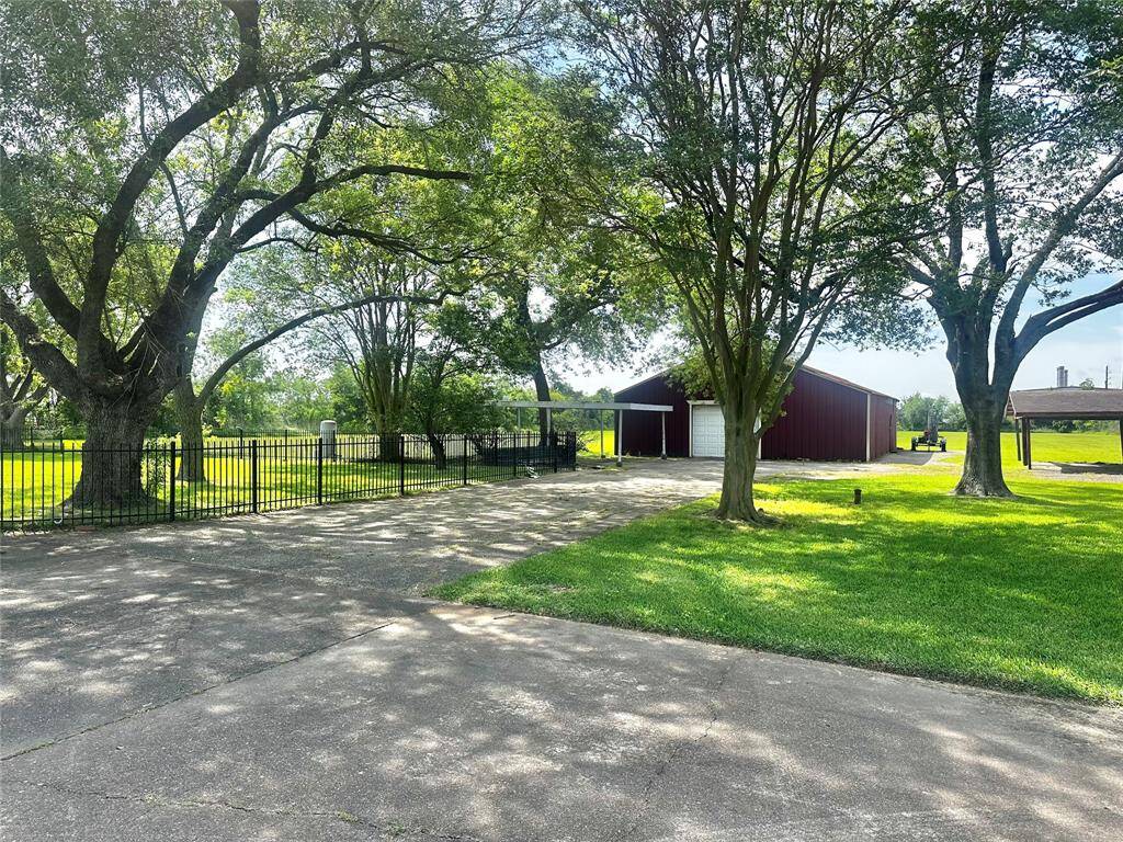 Side of the yard