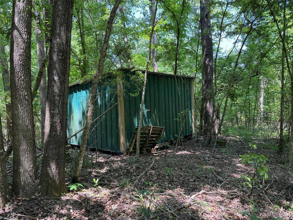 Old shed