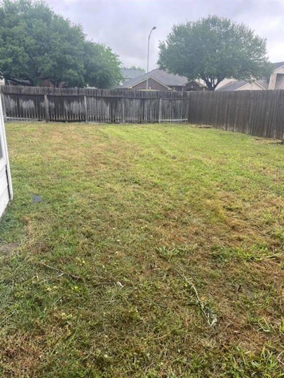 BACKYARD VIEW