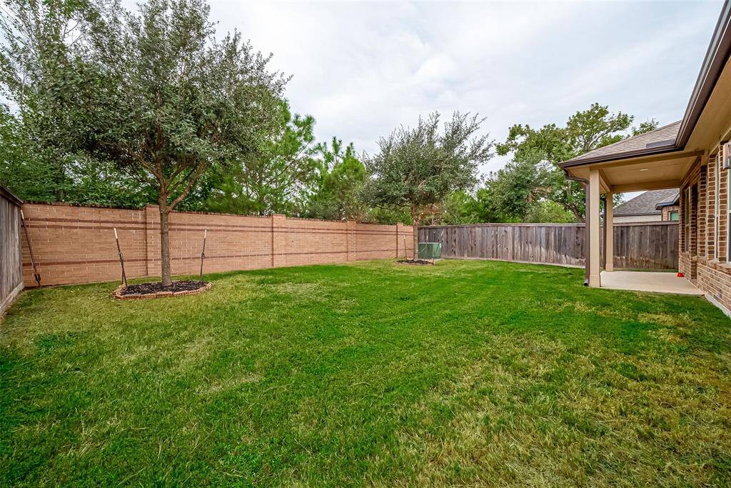 Another view of Backyard