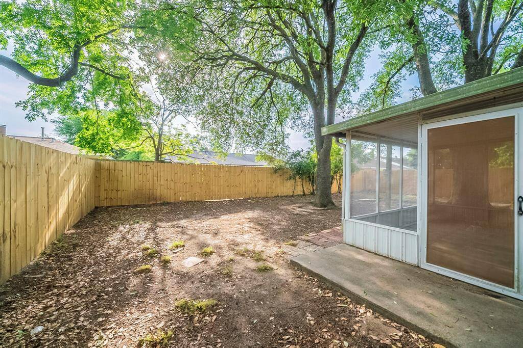 Backyard