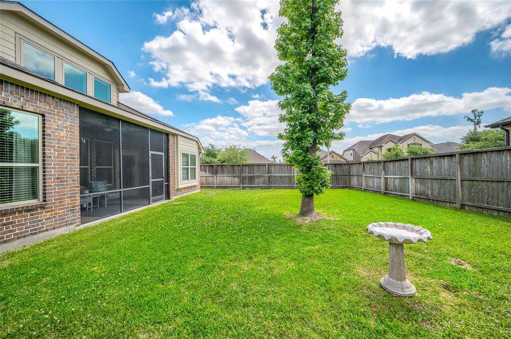 Another view of the backyard.