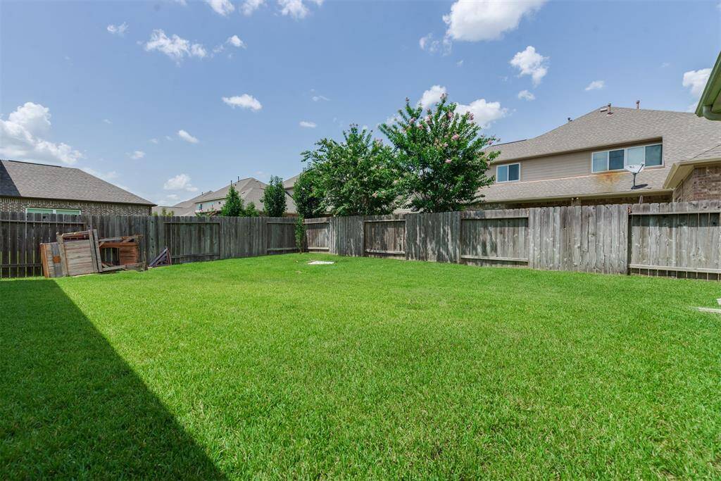 Spacious backyard perfect for the children and the pets!