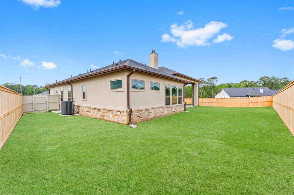 Great Back Yard