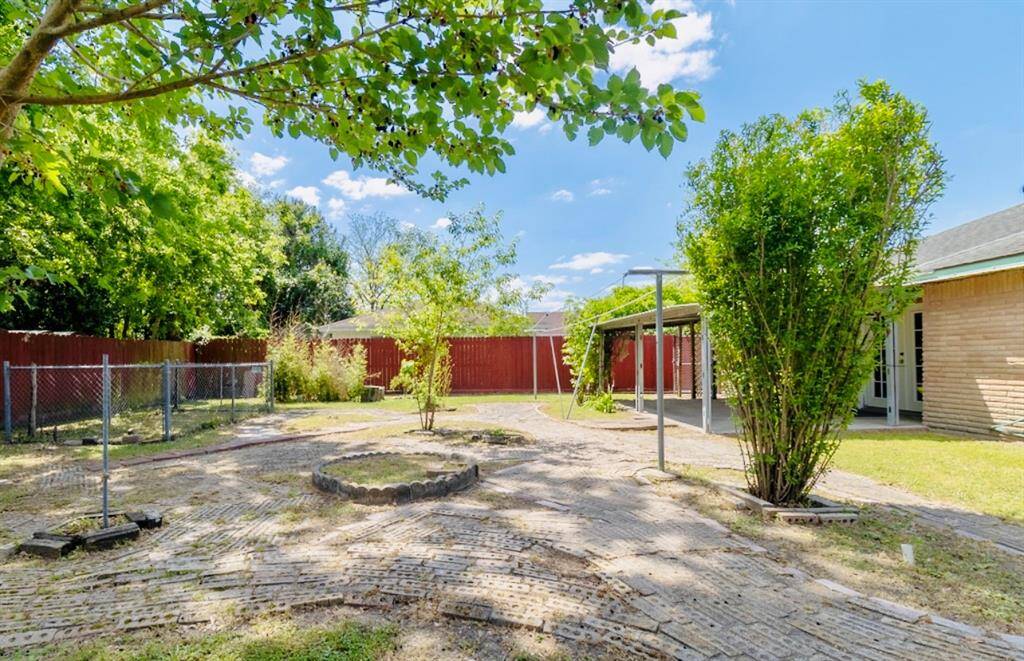 Ready to enjoy the tranquility of tree shades?