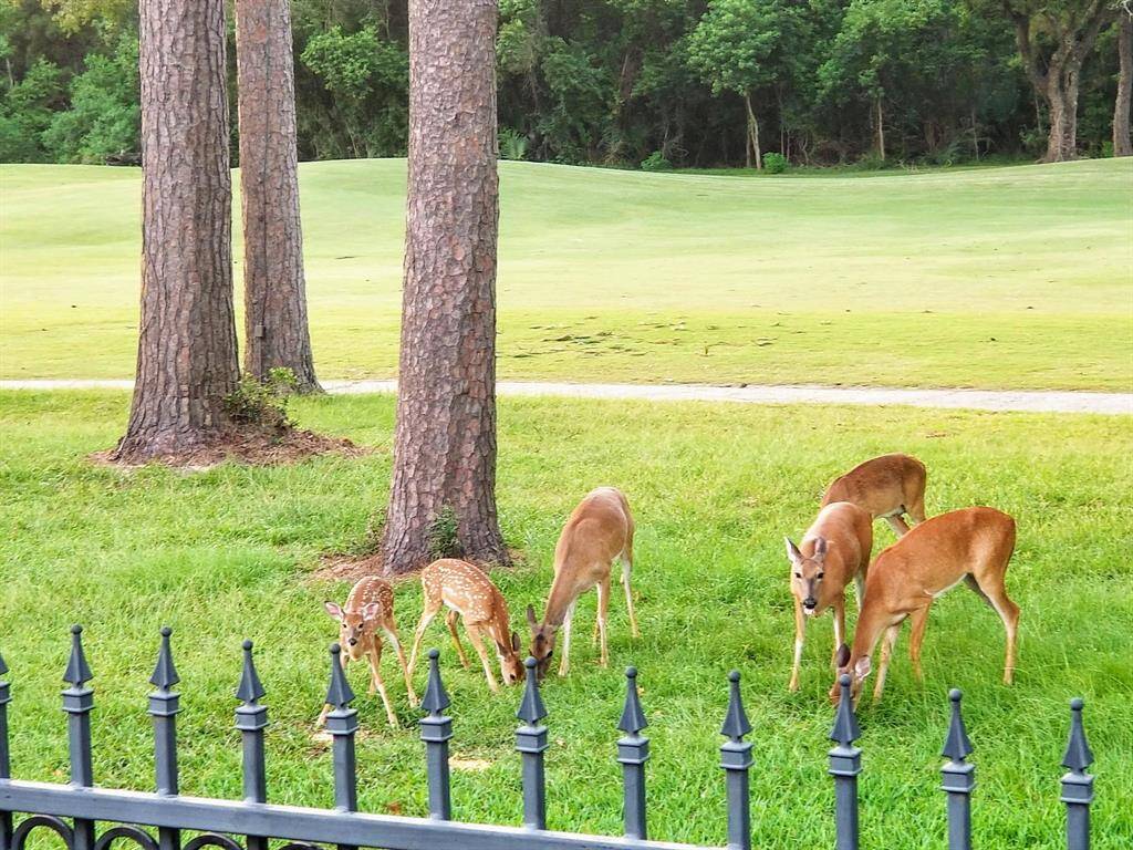 Enjoy peaceful moments right from your backyard as deer frequently wander through the nearby golf course. This stunning view offers a daily dose of nature and serenity, enhancing the tranquil lifestyle this home provides.