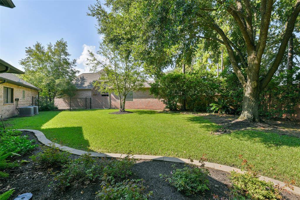 Large backyard