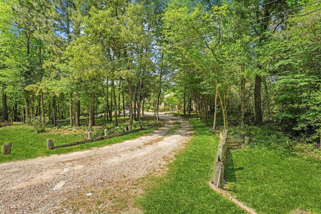 Here is a view of the driveway from the street.  Beautiful, mature trees provide ample shade and privacy for the home.