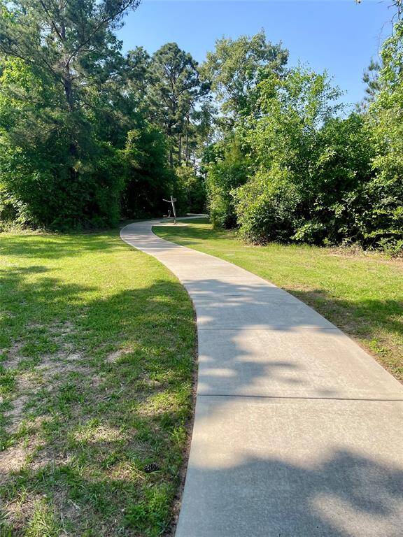 A serene, winding concrete path surrounded by lush greenery and trees, perfect for leisurely walks in a peaceful, natural setting.