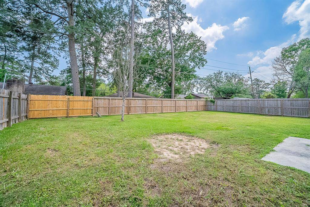 Backyard