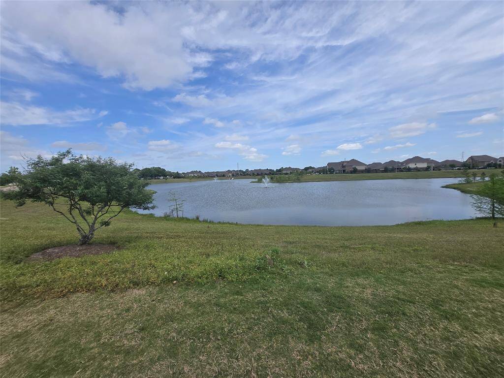 Pond