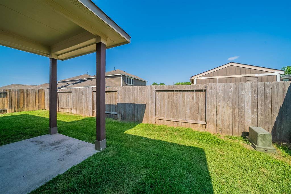 Backyard