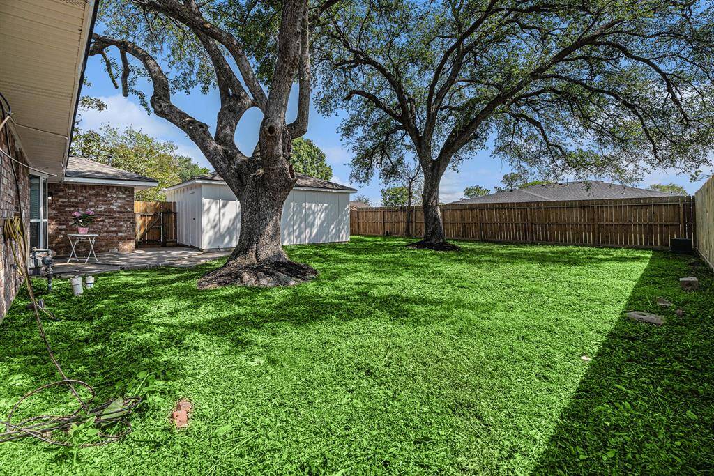 Large backyard with 2 mature trees!