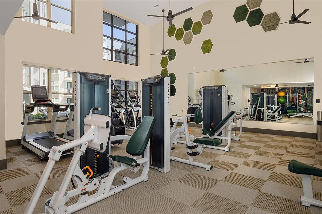 GYM