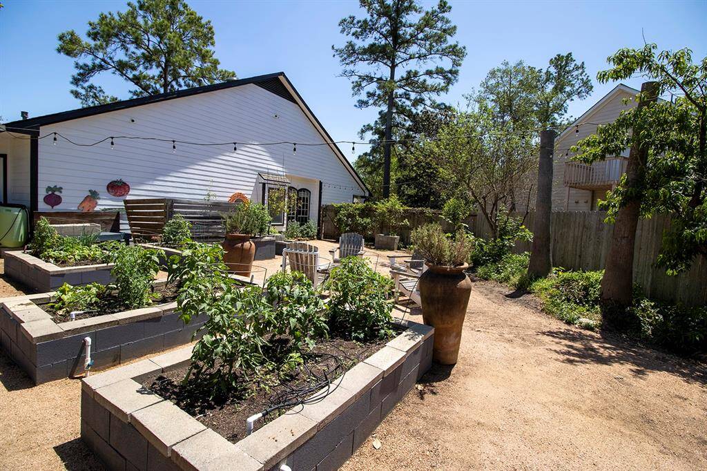 Backyard 2