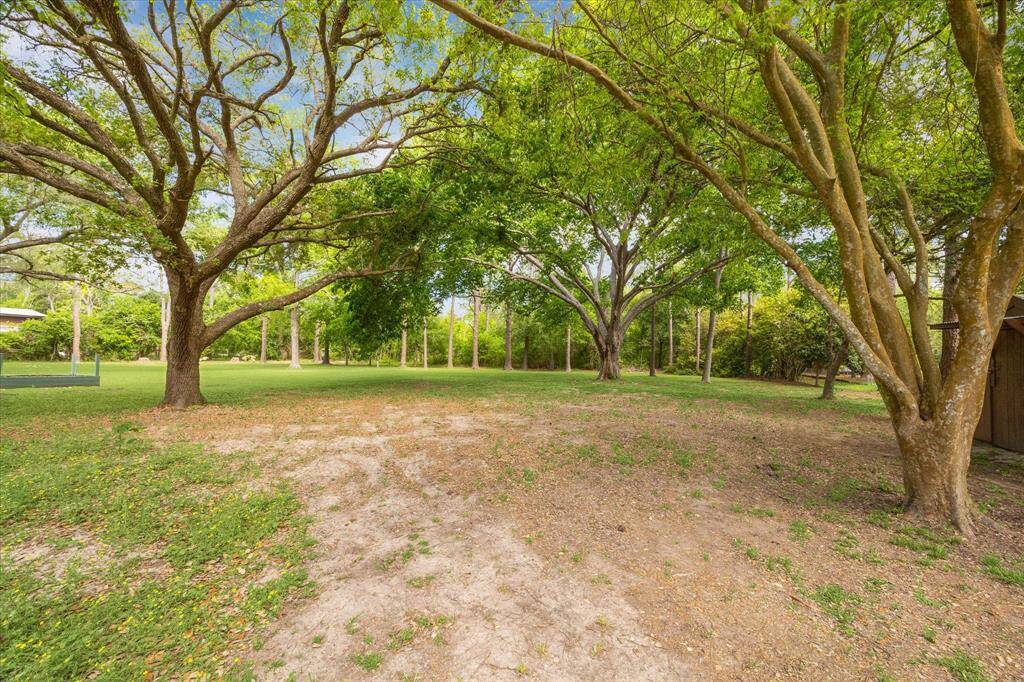 Expansive backyard with septic field lines discreetly integrated, offering functionality and space for landscaping or outdoor activities.