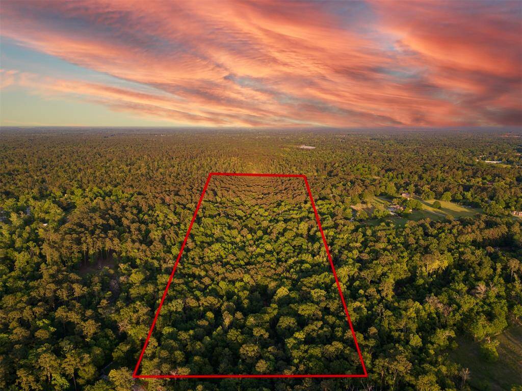 PERFECTLY LOCATED 23 (+/-) ACRE UNRESTRICTED PROPERTY! 12 Miles to The Woodlands & 15 Miles to Lake Conroe! Build multiple Homes or your Country Estate! OLD GROWTH TREES! ACCESS FROM 2 STREETS! Red boundry lines drawn for info purposes only. Buyer will need a new Survey.