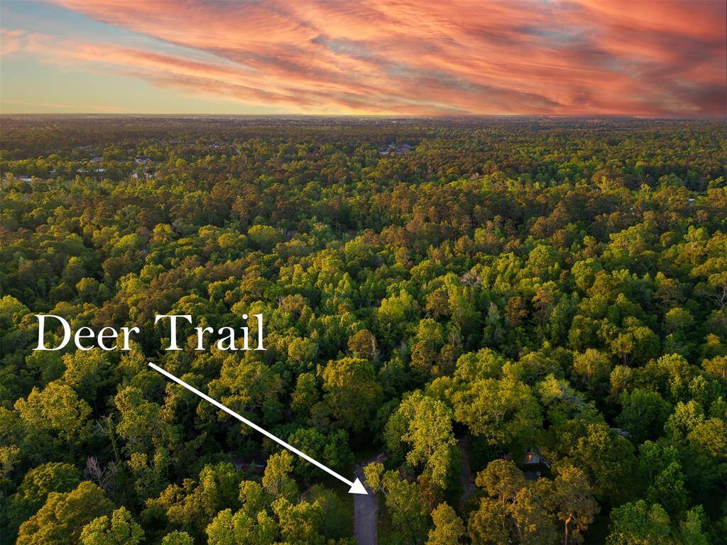 PERFECTLY LOCATED 23 (+/-) ACRE UNRESTRICTED PROPERTY! 12 Miles to The Woodlands & 15 Miles to Lake Conroe! Build multiple Homes or your Country Estate! Driveway access from Deer Trail or Fawn Trail! Buyer will need a new Survey.