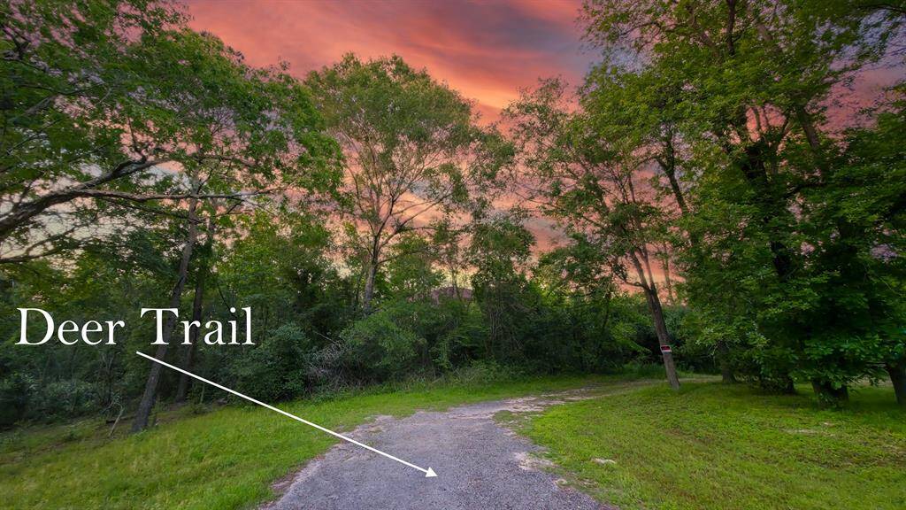 PERFECTLY LOCATED 23 (+/-) ACRE UNRESTRICTED PROPERTY! 12 Miles to The Woodlands & 15 Miles to Lake Conroe! Build multiple Homes or your Country Estate! Driveway access from Deer Trail or Fawn Trail! Buyer will need a new Survey.