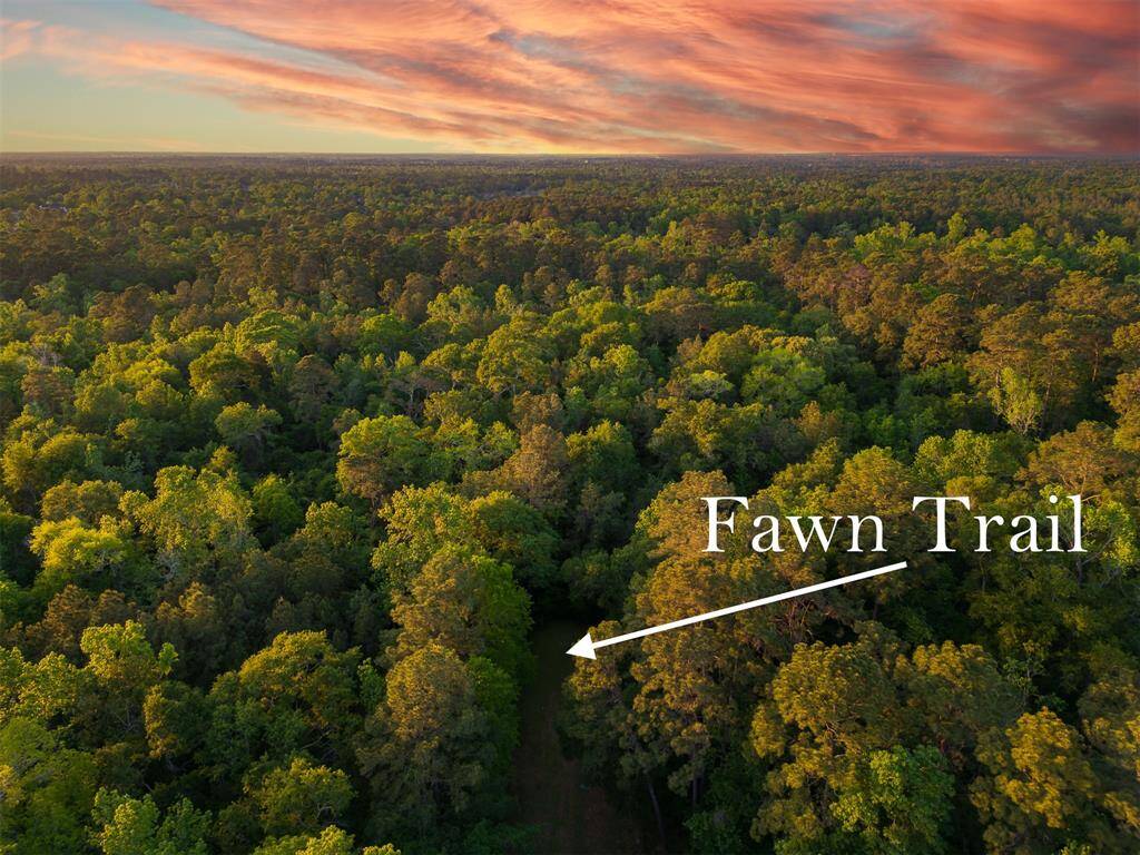 PERFECTLY LOCATED 23 (+/-) ACRE UNRESTRICTED PROPERTY! 12 Miles to The Woodlands & 15 Miles to Lake Conroe! Build multiple Homes or your Country Estate! Driveway access from Deer Trail or Fawn Trail! Buyer will need a new Survey.