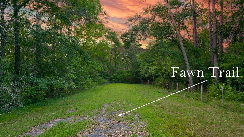 PERFECTLY LOCATED 23 (+/-) ACRE UNRESTRICTED PROPERTY! 12 Miles to The Woodlands & 15 Miles to Lake Conroe! Build multiple Homes or your Country Estate! Driveway access from Deer Trail or Fawn Trail! Buyer will need a new Survey.