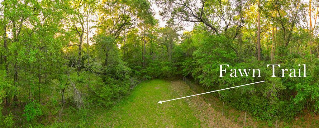 PERFECTLY LOCATED 23 (+/-) ACRE UNRESTRICTED PROPERTY! 12 Miles to The Woodlands & 15 Miles to Lake Conroe! Build multiple Homes or your Country Estate! Driveway access from Deer Trail or Fawn Trail! Buyer will need a new Survey.