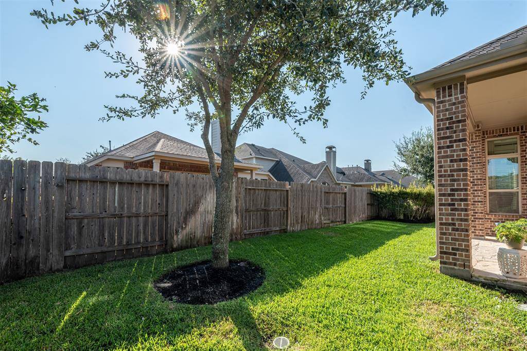 Opposite side of the yard by the patio