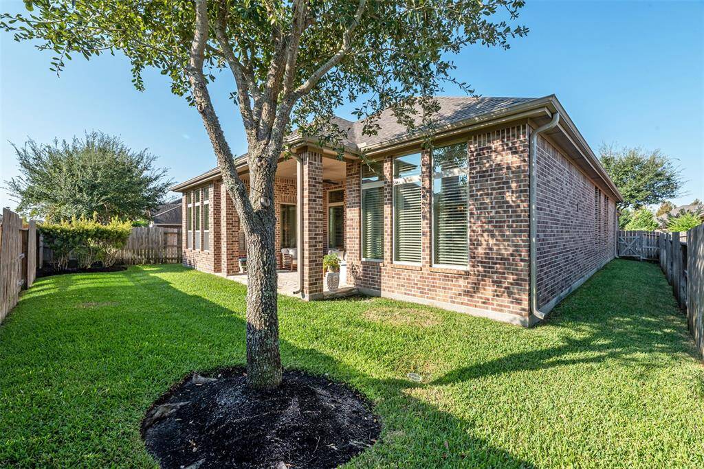 Wider view of the backyard with fully grown trees