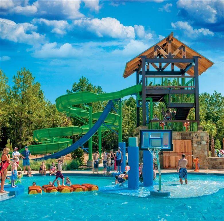 Forest Island-FreeForm Amenity Pool with two 42inch Water Slides