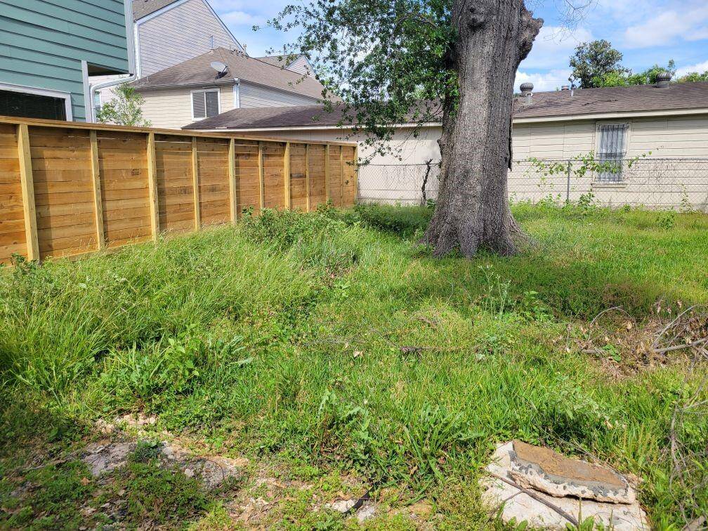 Back yard