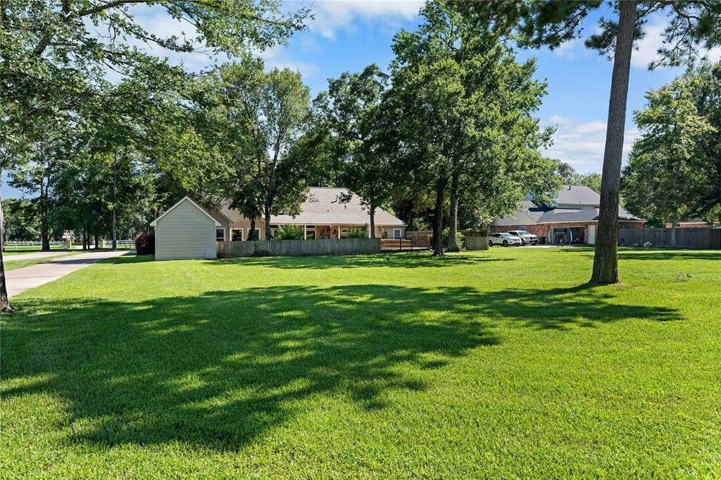 View of gorgeous backyard facing the house.
