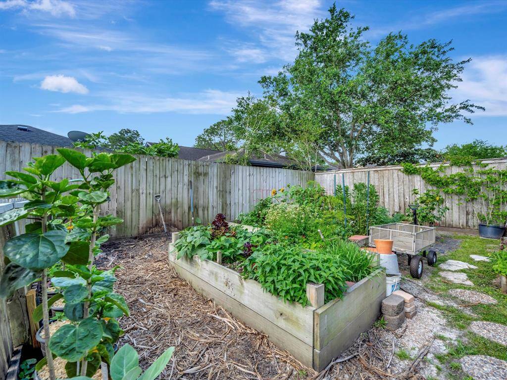 Thriving organic vegetable garden!