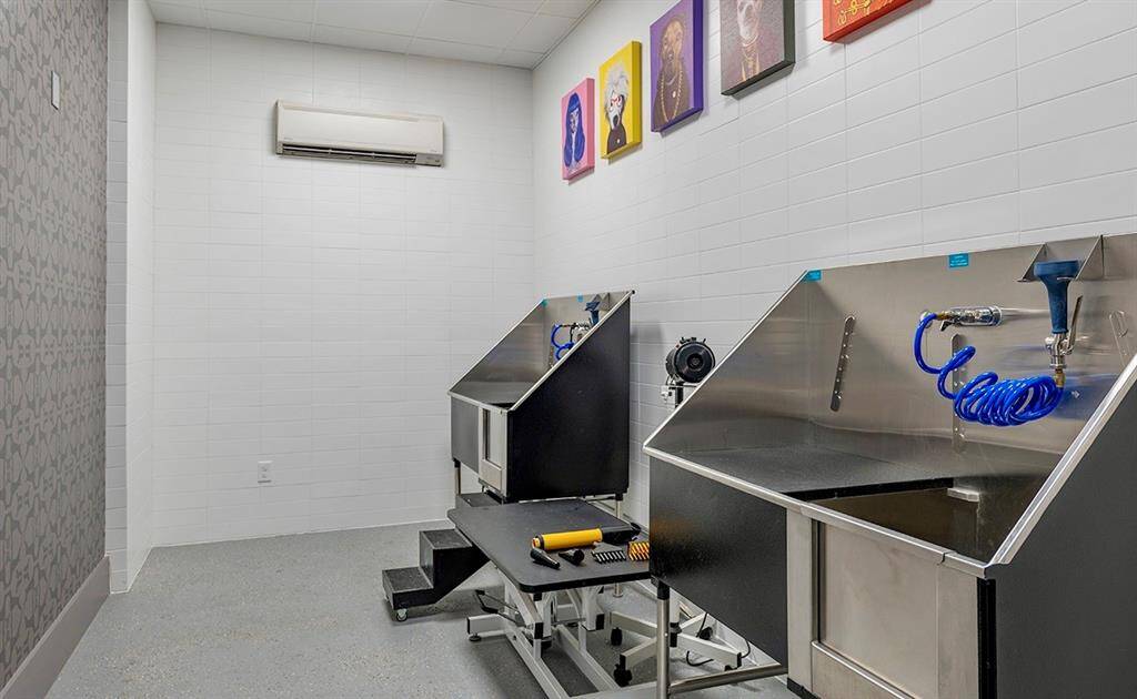 Dog spa - 2 stations and a drying station