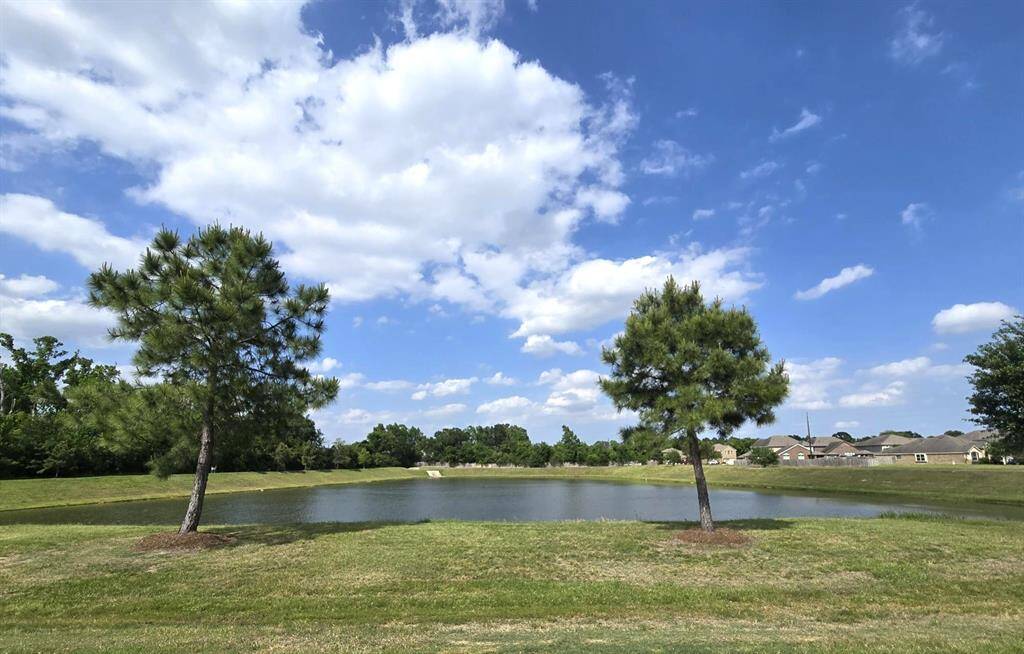 Subdivision lake.  Peaceful scenery!