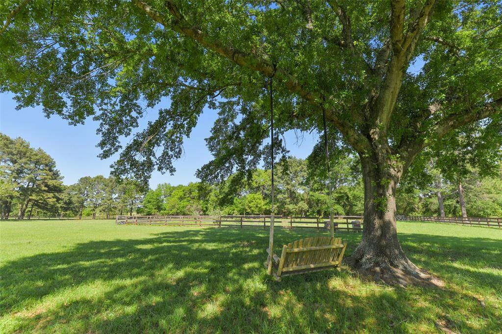 Relax in this shaded Country Swing under a big oak in the back acreage--note the fenced in orchard in front of the swing which currently has apple trees, pear trees, pomegranates and grapefruits.  The apple trees have produced about 10 gallons of apples per season in the past.