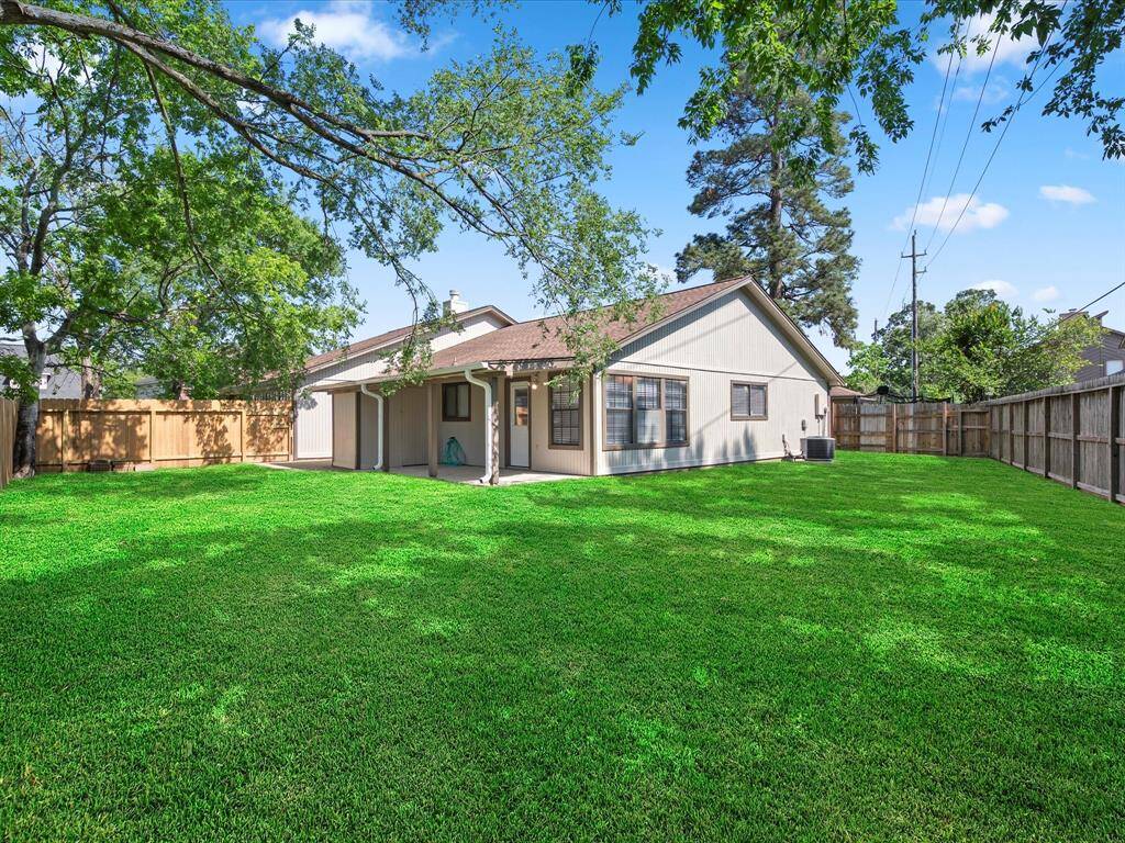 Large Back Yard