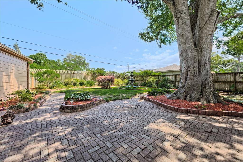 Fenced Backyard with no back neighbors and tree line view