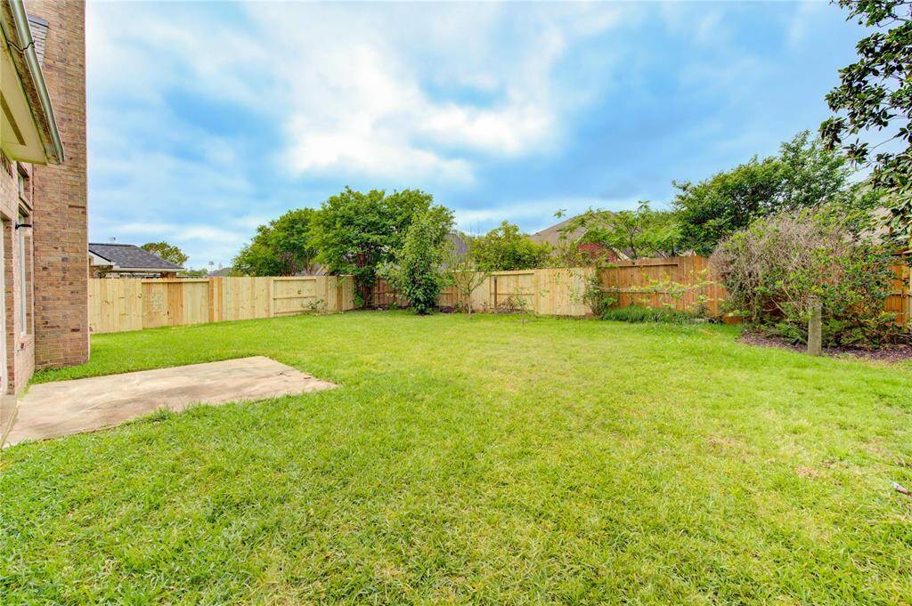 Big backyard