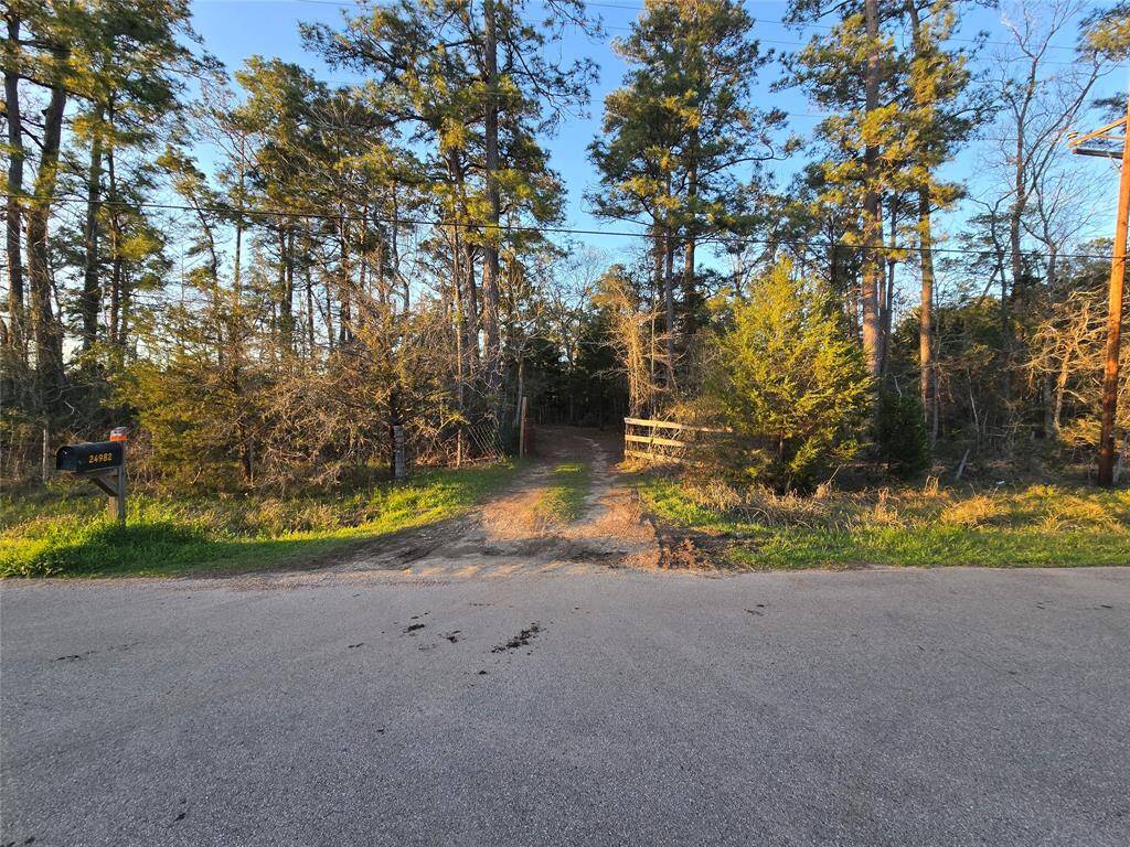 Property Image 37